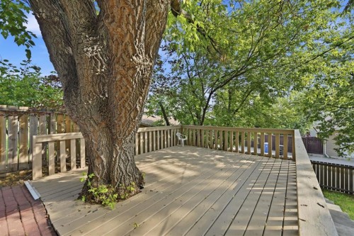 248 Parkland Crescent Se, Calgary, AB - Outdoor With Deck Patio Veranda