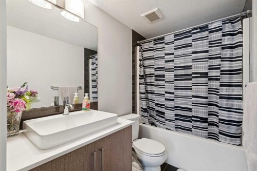5103-302 Skyview Ranch Drive Ne, Calgary, AB - Indoor Photo Showing Bathroom