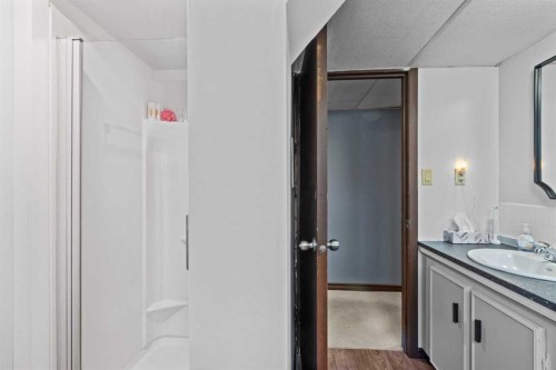 113 Spring Haven Court Se, Airdrie, AB - Indoor Photo Showing Bathroom