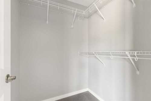 1037 New Brighton Park Se, Calgary, AB - Indoor With Storage
