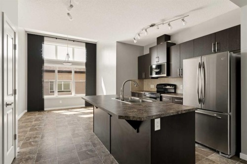 1037 New Brighton Park Se, Calgary, AB - Indoor Photo Showing Kitchen With Double Sink With Upgraded Kitchen