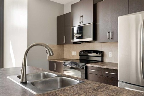1037 New Brighton Park Se, Calgary, AB - Indoor Photo Showing Kitchen With Double Sink