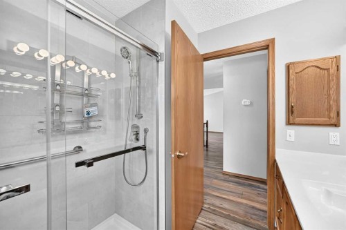 108 Woodside Close Nw, Airdrie, AB - Indoor Photo Showing Bathroom