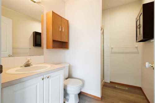 139 Bridlewood Circle Sw, Calgary, AB - Indoor Photo Showing Bathroom