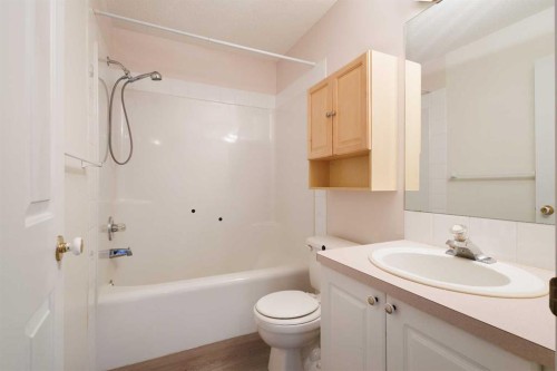139 Bridlewood Circle Sw, Calgary, AB - Indoor Photo Showing Bathroom