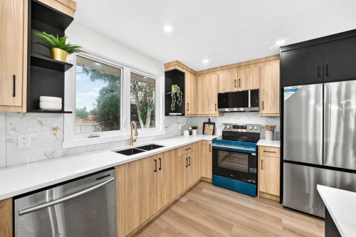 545 Madeira Drive Ne, Calgary, AB - Indoor Photo Showing Kitchen With Stainless Steel Kitchen With Double Sink