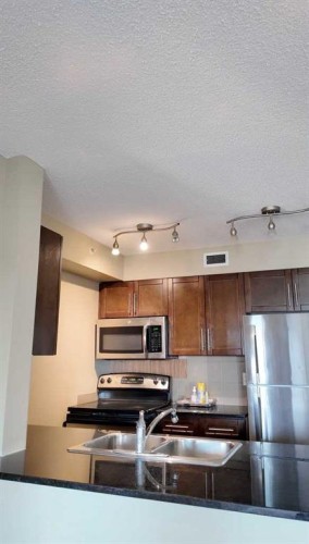 420-7110 80 Avenue Ne, Calgary, AB - Indoor Photo Showing Kitchen With Double Sink