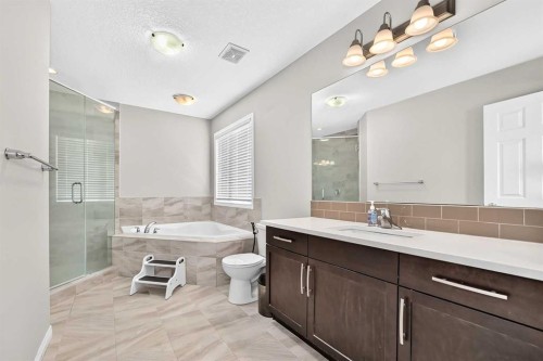 247 Cityscape Way Ne, Calgary, AB - Indoor Photo Showing Bathroom