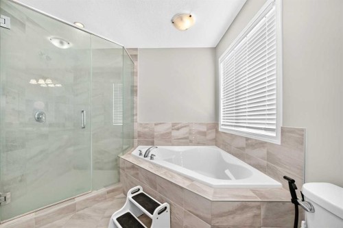 247 Cityscape Way Ne, Calgary, AB - Indoor Photo Showing Bathroom