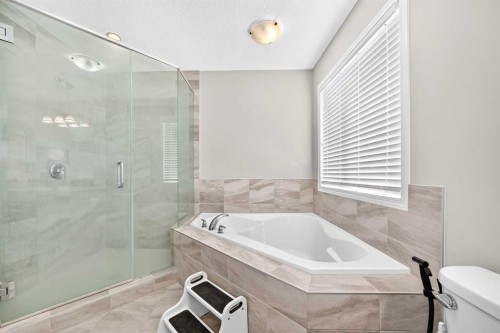 247 Cityscape Way Ne, Calgary, AB - Indoor Photo Showing Bathroom