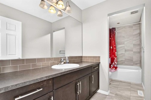 247 Cityscape Way Ne, Calgary, AB - Indoor Photo Showing Bathroom