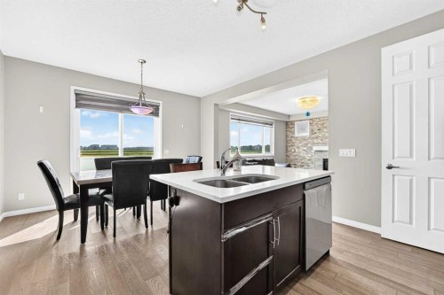 247 Cityscape Way Ne, Calgary, AB - Indoor Photo Showing Kitchen With Double Sink