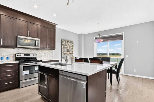 247 Cityscape Way Ne, Calgary, AB - Indoor Photo Showing Kitchen With Double Sink With Upgraded Kitchen