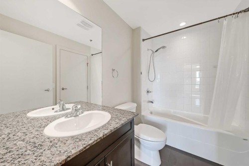 514-955 Mcpherson Road Ne, Calgary, AB - Indoor Photo Showing Bathroom