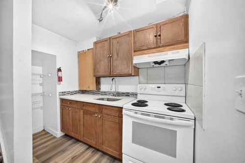 37 Martingrove Way Ne, Calgary, AB - Indoor Photo Showing Kitchen