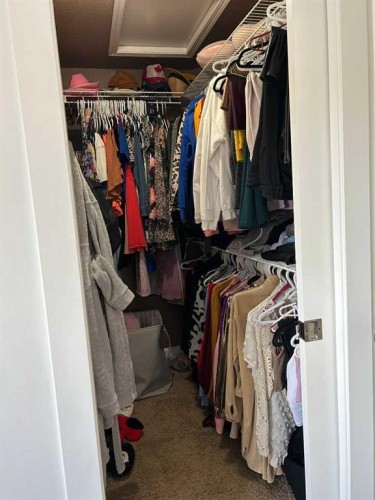 1319 54 Avenue Close, Lloydminster, AB - Indoor With Storage