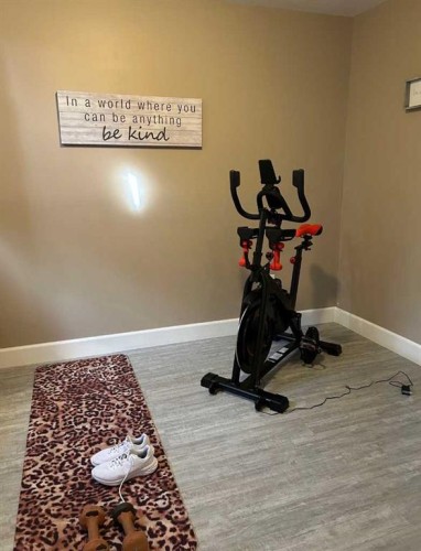 1319 54 Avenue Close, Lloydminster, AB - Indoor Photo Showing Gym Room