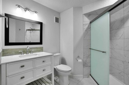 212 Everbrook Way Sw, Calgary, AB - Indoor Photo Showing Bathroom