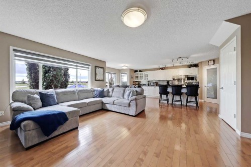 46 Spring View Sw, Calgary, AB - Indoor Photo Showing Living Room