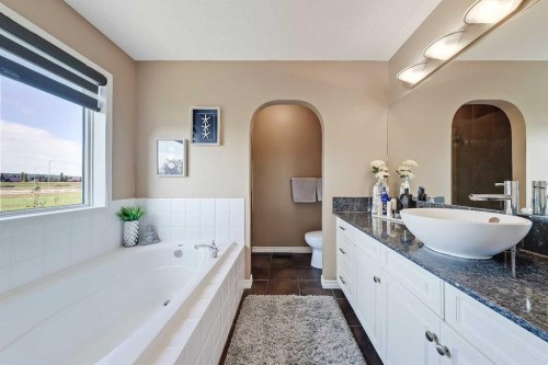 46 Spring View Sw, Calgary, AB - Indoor Photo Showing Bathroom
