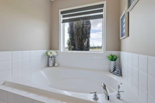 46 Spring View Sw, Calgary, AB - Indoor Photo Showing Bathroom