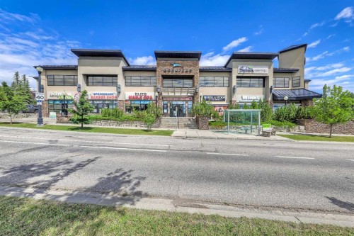 46 Spring View Sw, Calgary, AB - Outdoor
