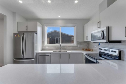 97 Corner Glen Way Ne, Calgary, AB - Indoor Photo Showing Kitchen With Stainless Steel Kitchen With Double Sink With Upgraded Kitchen