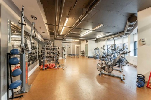 213-173 Kananaskis Way, Canmore, AB - Indoor Photo Showing Gym Room