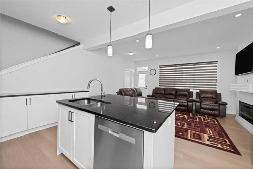 328 Homestead Grove Ne, Calgary, AB - Indoor Photo Showing Kitchen With Fireplace With Double Sink