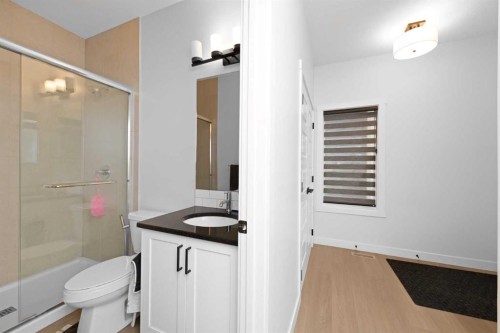 328 Homestead Grove Ne, Calgary, AB - Indoor Photo Showing Bathroom