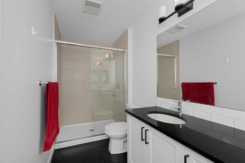 328 Homestead Grove Ne, Calgary, AB - Indoor Photo Showing Bathroom