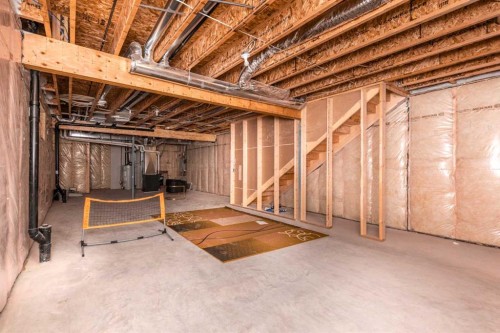 328 Homestead Grove Ne, Calgary, AB - Indoor Photo Showing Basement