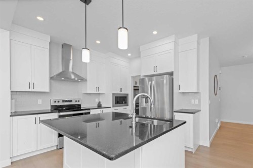 328 Homestead Grove Ne, Calgary, AB - Indoor Photo Showing Kitchen With Upgraded Kitchen