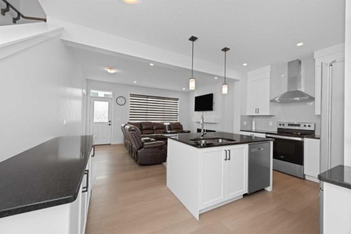 328 Homestead Grove Ne, Calgary, AB - Indoor Photo Showing Kitchen With Upgraded Kitchen