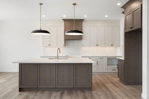 116 Sunrise Heath, Cochrane, AB - Indoor Photo Showing Kitchen With Upgraded Kitchen