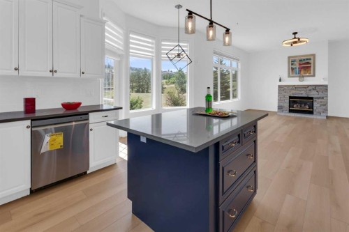99 Edgeridge View Nw, Calgary, AB - Indoor Photo Showing Kitchen With Fireplace With Upgraded Kitchen