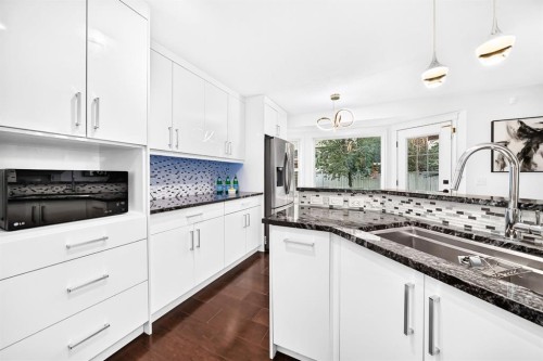 262 Coventry Court Ne, Calgary, AB - Indoor Photo Showing Kitchen With Double Sink