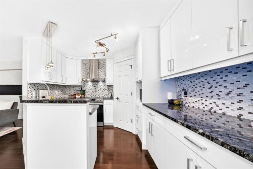 262 Coventry Court Ne, Calgary, AB - Indoor Photo Showing Kitchen With Upgraded Kitchen