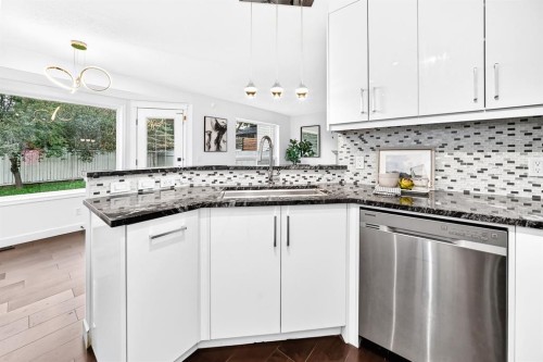 262 Coventry Court Ne, Calgary, AB - Indoor Photo Showing Kitchen With Upgraded Kitchen
