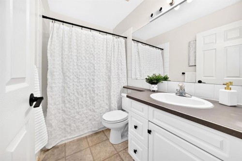 262 Coventry Court Ne, Calgary, AB - Indoor Photo Showing Bathroom