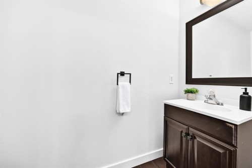 262 Coventry Court Ne, Calgary, AB - Indoor Photo Showing Bathroom