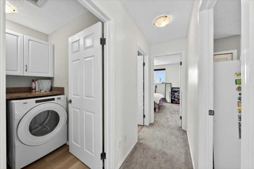 194 Everoak Gardens Sw, Calgary, AB - Indoor Photo Showing Laundry Room