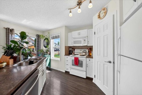 194 Everoak Gardens Sw, Calgary, AB - Indoor Photo Showing Kitchen With Double Sink