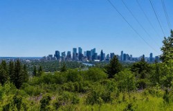 204-328 Cedar Crescent SW Calgary, AB T3C 2Y8