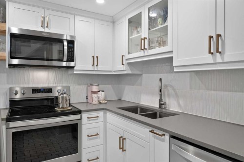 107-1615 13 Avenue Sw, Calgary, AB - Indoor Photo Showing Kitchen With Double Sink
