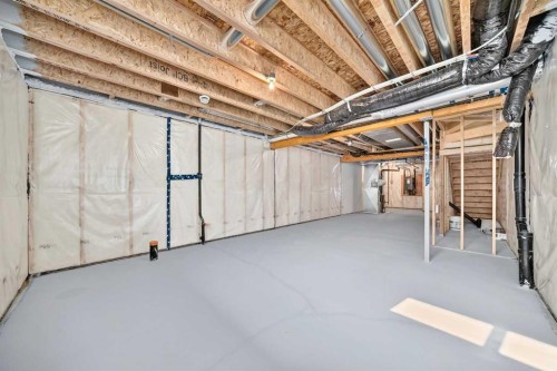 182 Lanark Gate Se, Airdrie, AB - Indoor Photo Showing Basement