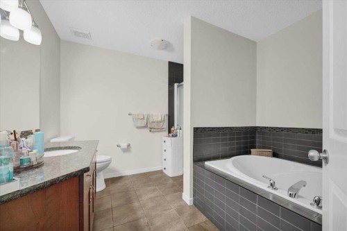 226 Sunset Point, Cochrane, AB - Indoor Photo Showing Bathroom