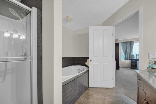 226 Sunset Point, Cochrane, AB - Indoor Photo Showing Bathroom