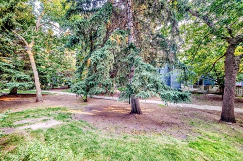 213 Point Mckay Terrace Nw, Calgary, AB - Outdoor
