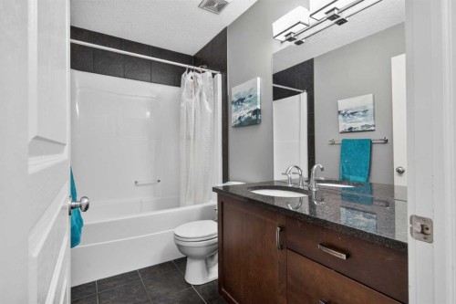 234 Pantego Way Nw, Calgary, AB - Indoor Photo Showing Bathroom